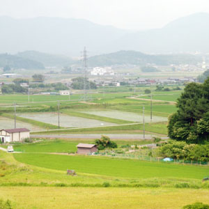 大山田の風景１